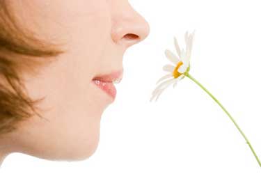 Höcker an der Nase abschleifen bzw. entfernen Bingen